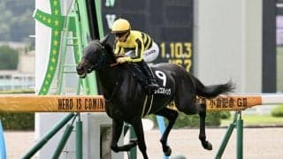 【フェニックス賞】単勝1.1倍、シカゴスティングが3馬身差完勝