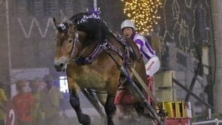 【ばんえいグランプリ】単勝1.2倍メムロボブサップが3連覇達成…阿部「しっかり歩いてくれた」