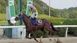 【佐賀・ロータスクラウン賞】ブレイブアモーレが佐賀重賞2勝目…石川慎「自信を持って乗れた」