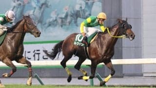 【盛岡・いしがきマイラーズ】ルヴァンがブービー11番人気を覆してV…岩本「理想的な競馬できた」