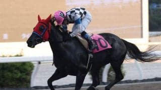 【高知けいば】郷間勇太騎手が地方通算500勝…「いつも高知けいばの応援ありがとうございます」