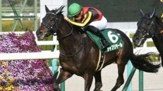 【札幌記念見どころ】ダービー馬シャフリヤールが北の地で復活を期す