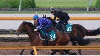 POGでも人気集めるウールデュボヌール 20日札幌で初陣/関西馬メイクデビュー情報