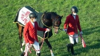 【先週のJRA抹消馬】菊花賞馬アスクビクターモア、平地・障害で勝利を挙げたショウナンバルディなど