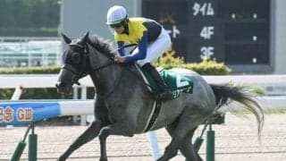 馬体重に秘密アリ 血統面から読み解くマリアエレーナの敗戦