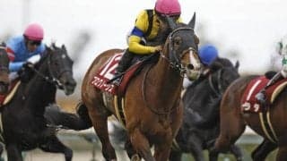 【札幌記念展望】スピードが要求される一戦、プログノーシスに期待したい