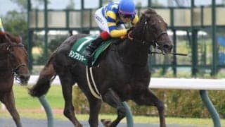 好馬体誇る重賞馬からダート短距離路線けん引する古豪まで お盆の岩手盛り上げるクラスターC