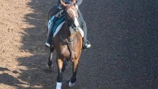 エナジーフォルテなど、先週のゲート試験/栗東トレセンニュース