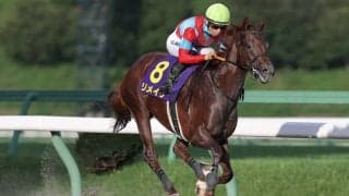 【クラスターC】リメイクが最内強襲！断然人気に応える