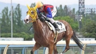 「11戦11勝の怪物」と「米G1・2着の実績馬」が大井・黒潮盃で激突