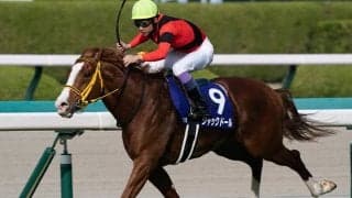 GI馬3頭を含む13頭の重賞勝ち馬が集結 豪華メンバーの“スーパーGII”札幌記念