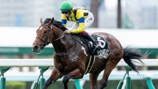 2戦2勝の札幌で復活の重賞3勝目狙う ソーヴァリアントが札幌記念で強豪撃破だ