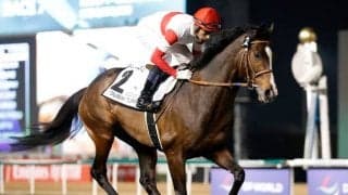  ハーツクライ産駒の伸びシロに期待 ダノンベルーガが札幌記念でGIへの弾みをつける