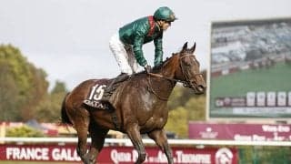 昨年の凱旋門賞2着ヴァデニが電撃引退　欧州中距離路線で活躍