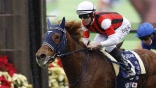 【札幌記念予想】AIが選んだのは実績のある「ちょうど手頃」な馬 近走データから徹底分析！