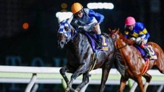 【大井・黒潮盃結果】“ヒーロー対決”制しヒーローコールが重賞3勝目を挙げる