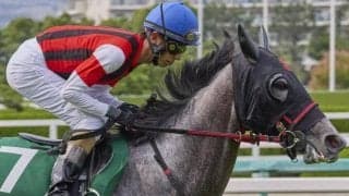 健在示すベテラン牝馬 札幌記念Vで初の海外遠征へ弾みを