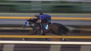 ビッグドリーム、小倉2歳S2週前追い切り開始/栗東トレセンニュース