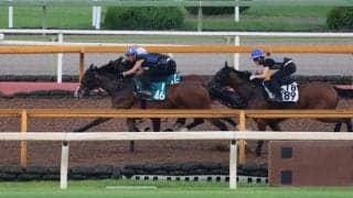 ヒヒーンなど、新潟2歳S1週前追い切り速報/栗東トレセンニュース