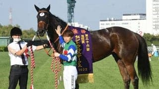 「アイドルホースオーディション2023」開催中！ あなたの“推し馬”に投票しよう