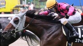 大ベテラン柴田善臣騎手が3年半ぶりに小倉参戦 北九州記念はスマートリアンとタッグ