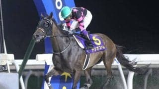 【門別・ブリーダーズGC結果】テリオスベルが逃げ切って交流重賞2勝目を挙げる