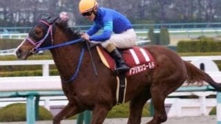 ステイゴールド産駒18年連続JRA重賞Vなるか 昨年の京都記念覇者が札幌記念参戦