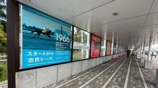 札幌競馬場は暑かった/島田明宏