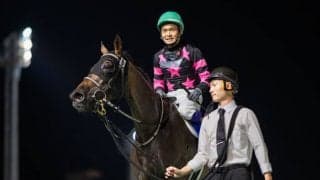 【ブリーダーズGC】江田照「こういうダートは合っている印象」テリオスベルが交流重賞2勝目