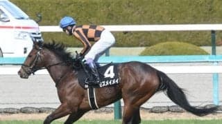 【北九州記念枠順確定】モズメイメイは8枠18番、ママコチャは5枠9番