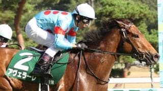 【関屋記念】戸崎「（スタートを）気をつけていた」アヴェラーレが重賞初制覇