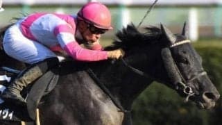 15年米古牡馬チャンピオン・オナーコードを優駿SSで繋養へ G1馬を3頭輩出