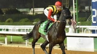 クラウンプライドやバスラットレオンら 4頭が韓国国際競走の招待受諾