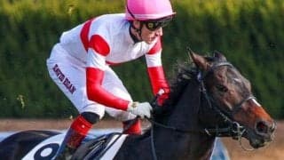 内有利の新潟芝で絶好2番枠 土曜メインはダノントルネードが決める