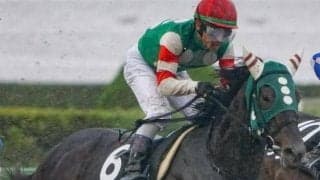 【上越S予想】前走は不利大ながら5着入線 展開嵌まれば突き抜ける