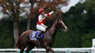 絶好調スワーヴリチャード産駒が5週連続Vへ アドマイヤリードの妹ら今週は6頭スタンバイ