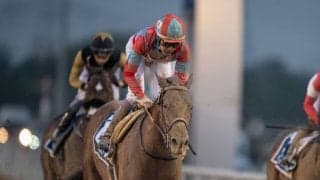 【韓国国際競走】リメイクなど日本馬4頭が選出