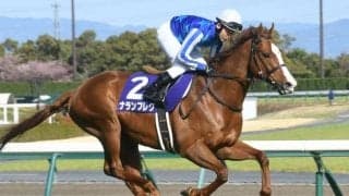 【キーンランドC想定馬・騎手】ナランフレグ、キミワクイーンなど23頭