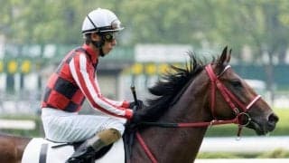 全18頭が“連闘”の珍事 トンコツラーメンやポンズ出走の土曜小倉1R