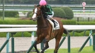 【新潟2歳S想定馬・騎手】ヒヒーン、ルージュスタニングなど12頭