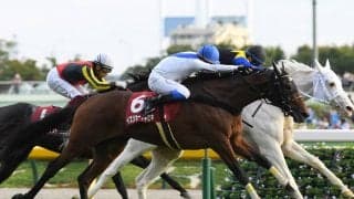 札幌記念は有力馬に乗る騎手の駆け引きに注目も、間隙を突く人気薄馬の大駆けに注意