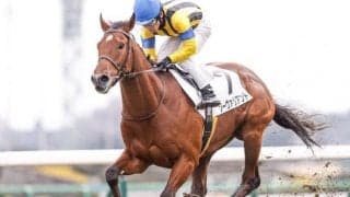 【札幌記念予想】2度の惨敗が妙味を生む！ 相手強化も通用する美味しい穴馬候補