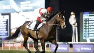 【札幌記念予想】近年の傾向に変化アリ!? 名手が騎乗も前走好走馬に黄色信号