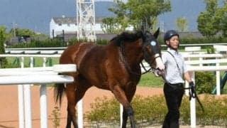 【北九州記念予想】昨年16人気1着のハンデ戦！ 波乱必至の短距離重賞でカギとなるスピードの有無