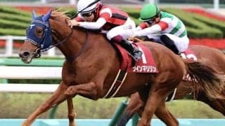 札幌芝は超内＆前有利 絶好2番枠ウインマリリンがジャックドールに襲い掛かる!?