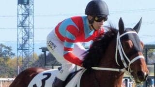 【日曜小倉12R予想】待望の小回りダ1700mで決める 前走5着も好内容