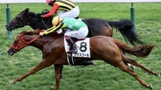 【新馬/札幌5R】断然人気ラヴスコールがデビューV