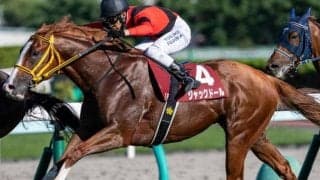 競馬ファン40000人が選んだ「思い出の札幌記念」 ソダシやエアグルーヴは何位？