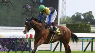 【北九州記念予想】単勝1番人気馬が14連敗中 真夏のハンデ戦らしい波乱重賞