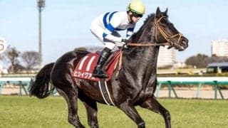 【札幌記念予想】豪華メンバーで争われる夏競馬のハイライト